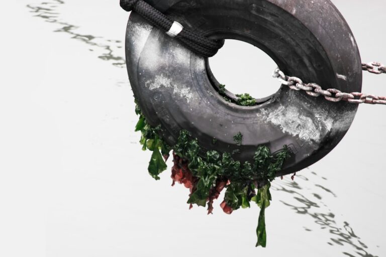 Najczęstsze błędy popełniane przy wymianie kół Photo Tire pressure