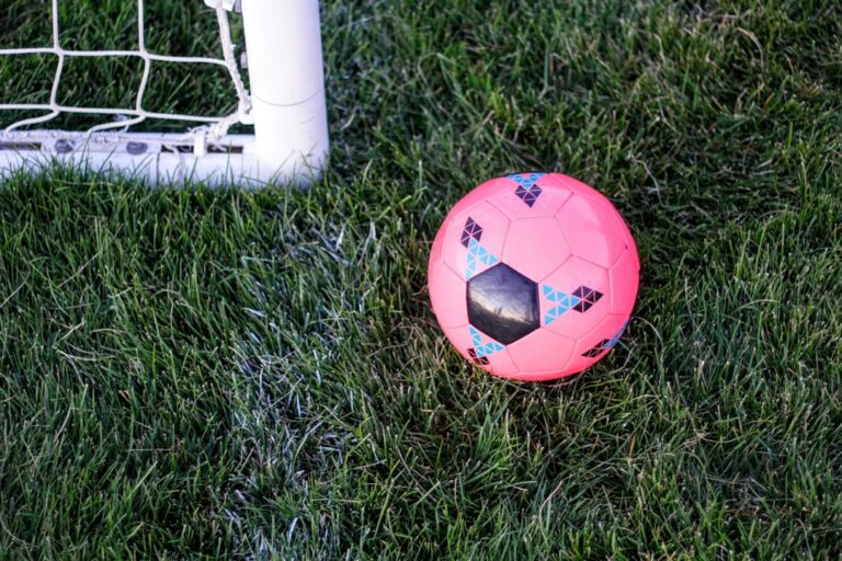 Jakie są kary za brak ważnych badań technicznych pojazdu? Photo penalties